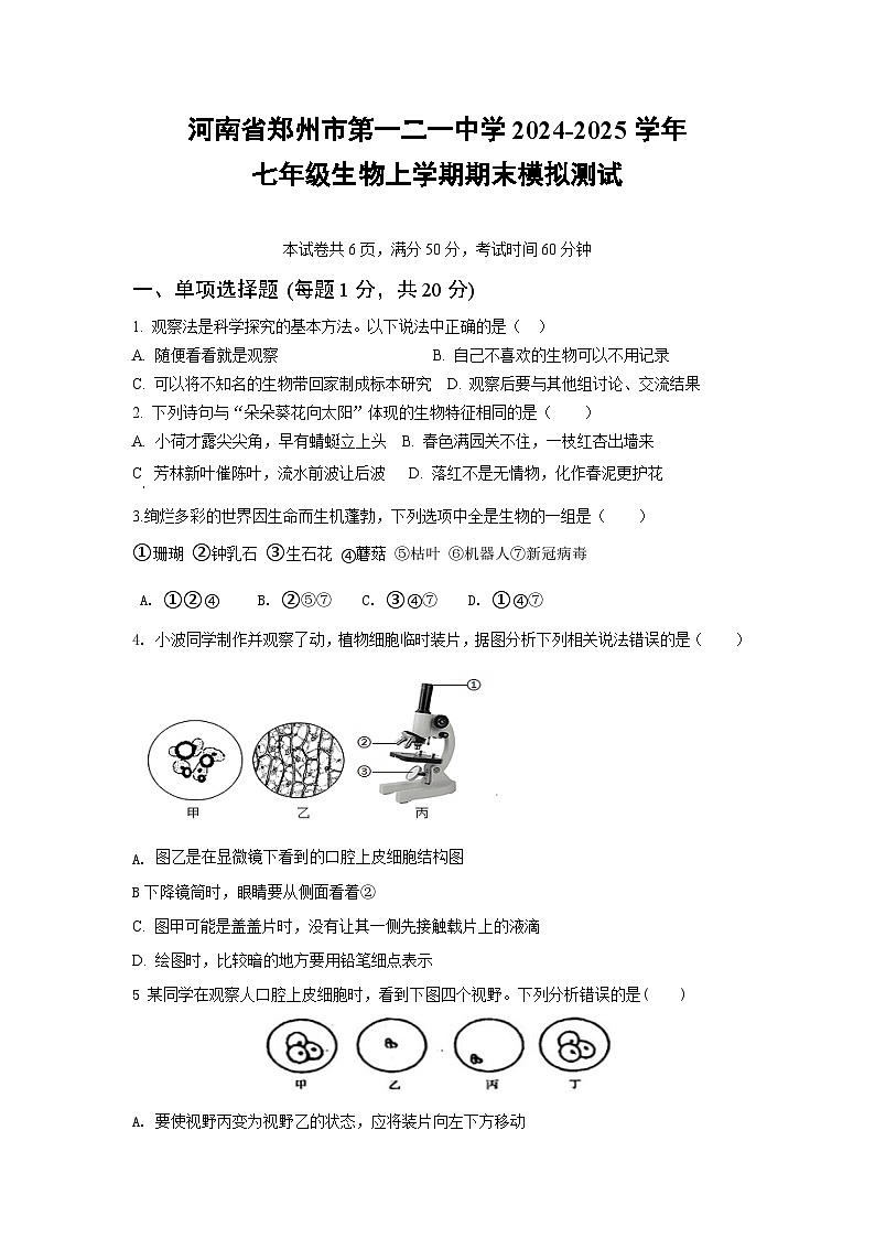 河南省郑州市第一二一中学2024-2025学年七年级上学期生物期末模拟测试第1页