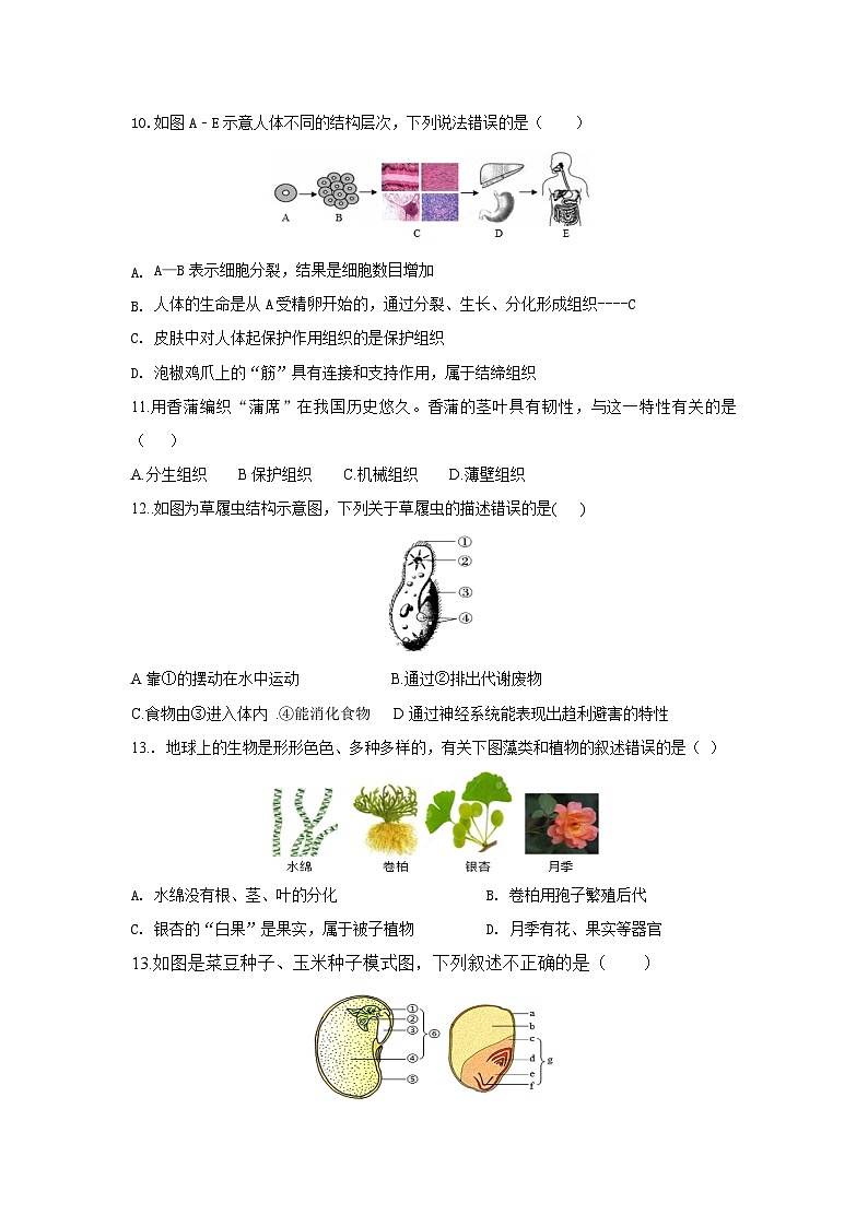 河南省郑州市第一二一中学2024-2025学年七年级上学期生物期末模拟测试第3页