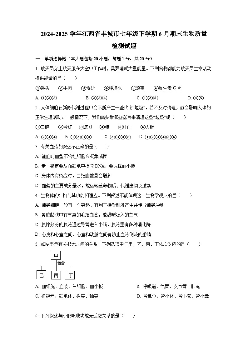 2024-2025学年江西省丰城市七年级下学期6月期末生物质量检测试题（含答案）第1页