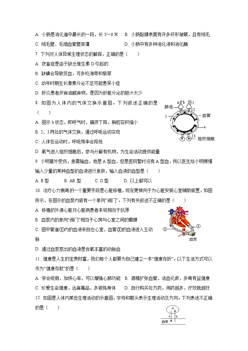 2024-2025学年江西省丰城市七年级下学期6月期末生物质量检测试题（含答案）第2页