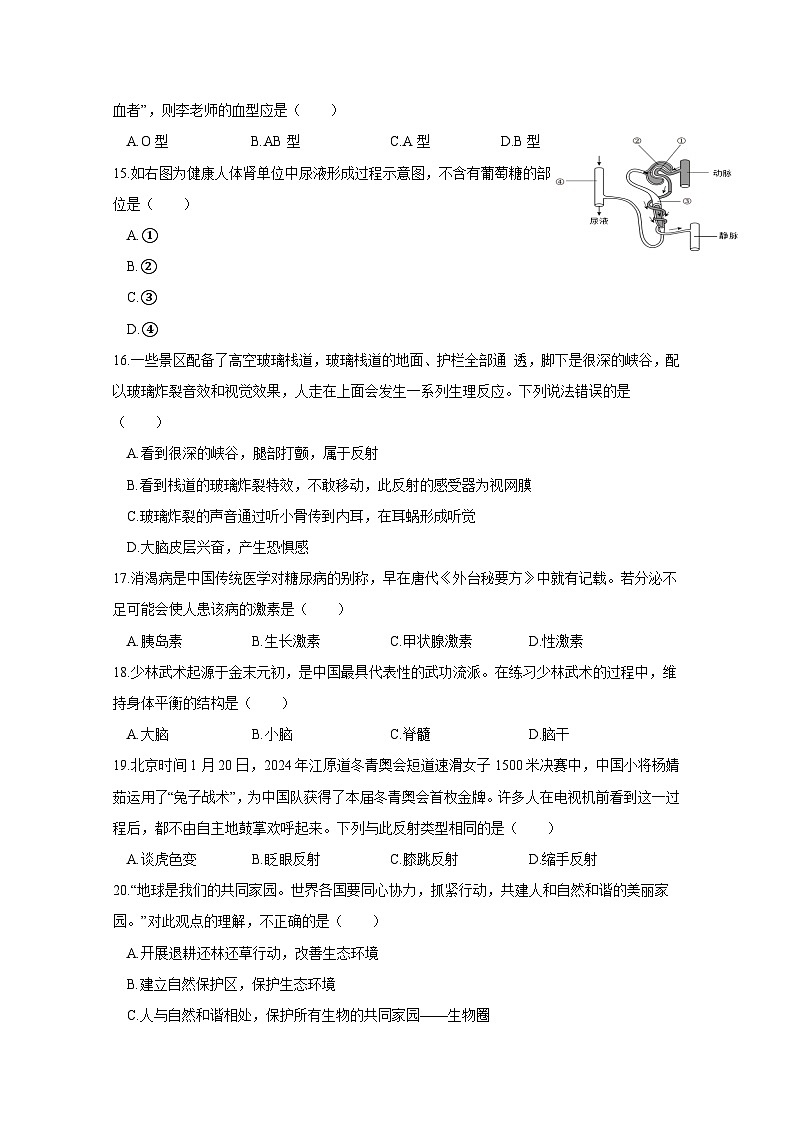 2024-2025学年江西省赣州市兴国县七年级下学期期末考试生物检测试题（含答案）第3页