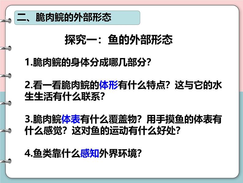 2.2.2脊椎动物-鱼课件2024-2025学年人教版生物七年级上册第6页