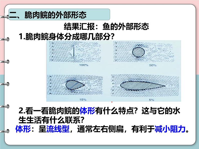 2.2.2脊椎动物-鱼课件2024-2025学年人教版生物七年级上册第7页