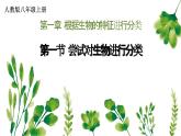 2.4.1尝试对生物进行分类课件2024-2025学年人教版生物七年级上册