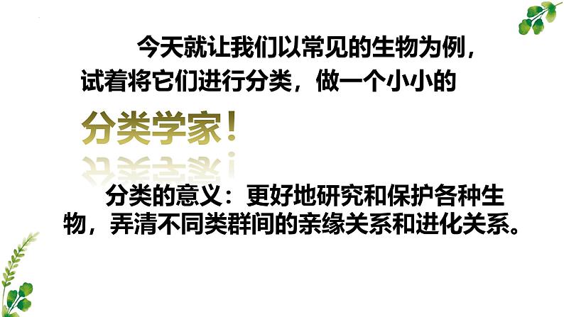 2.4.1尝试对生物进行分类课件2024-2025学年人教版生物七年级上册第3页