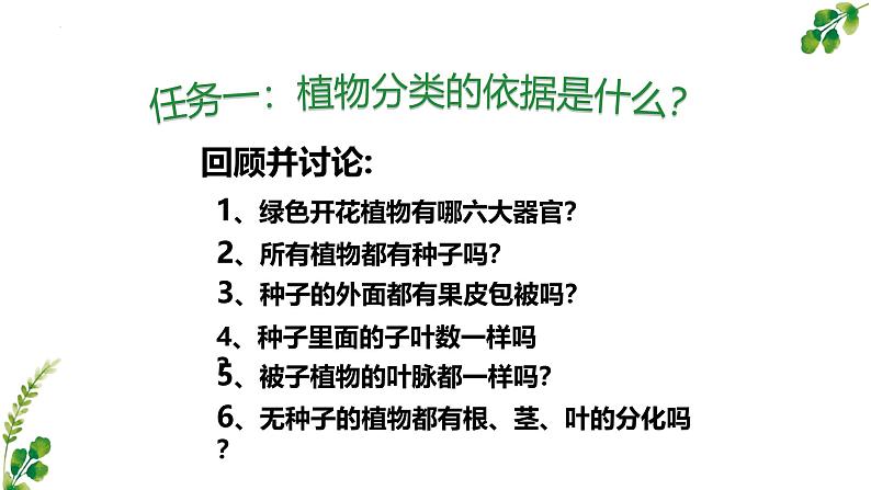 2.4.1尝试对生物进行分类课件2024-2025学年人教版生物七年级上册第5页