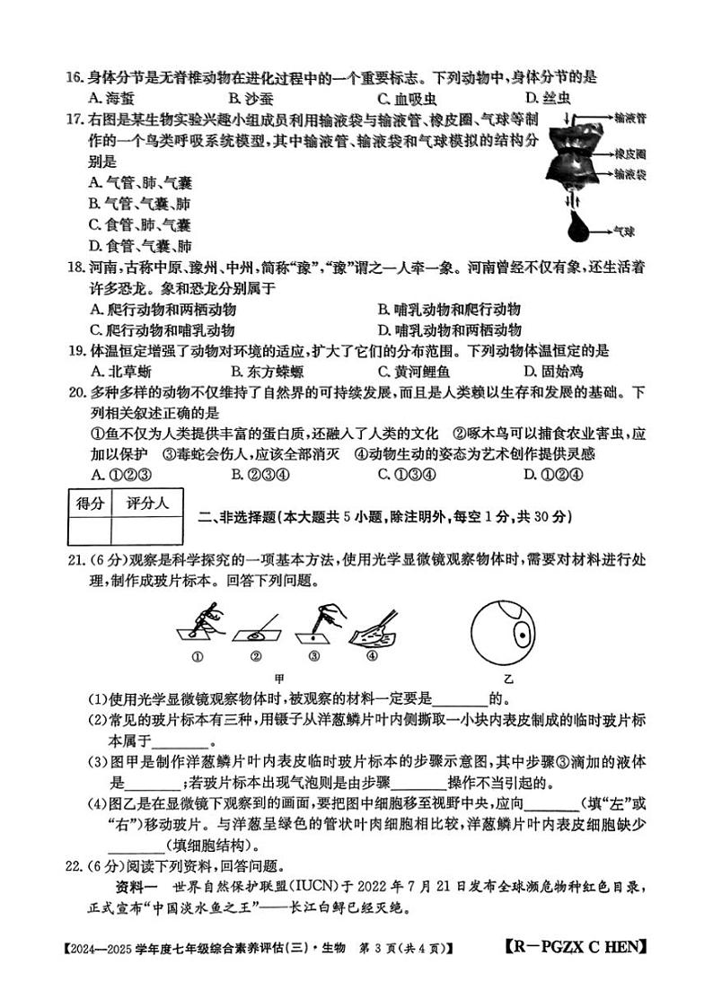 2024～2025学年河南省南阳市七年级(上)多校第三次月考生物试卷(＋pdf版含答案)第3页