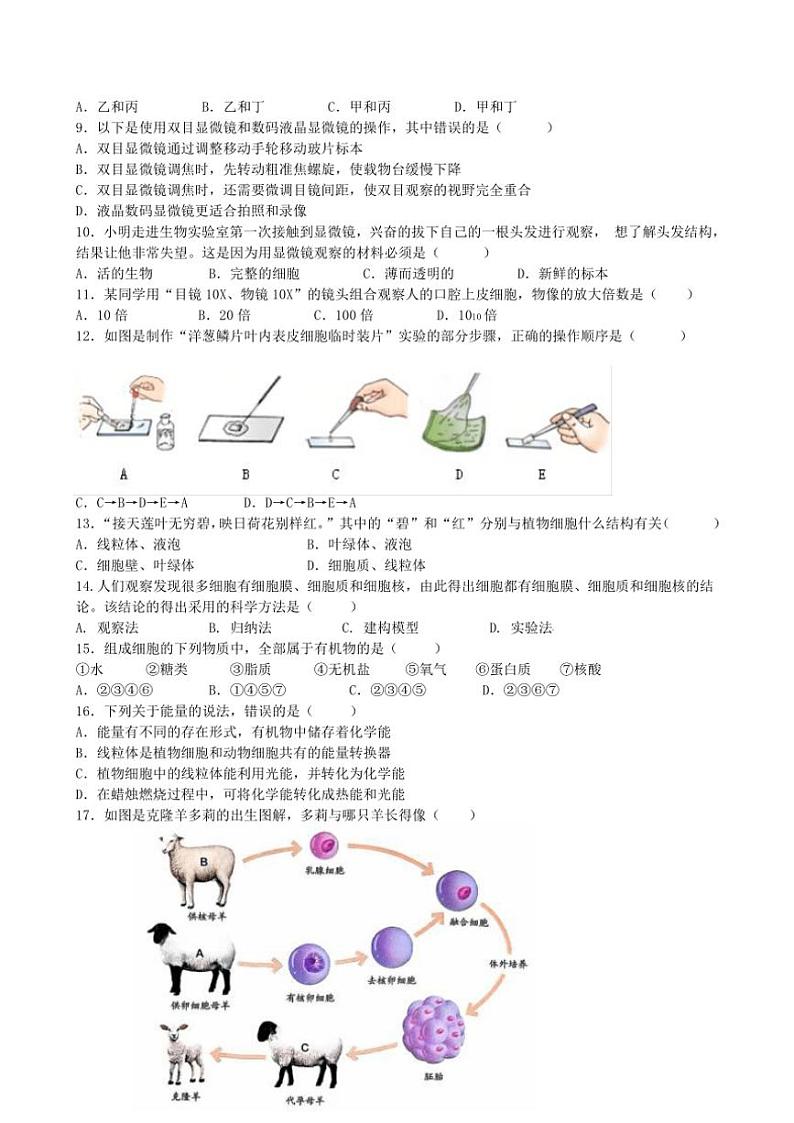 2024～2025学年广东省江门市七年级(上)期中生物试卷(含答案)第2页