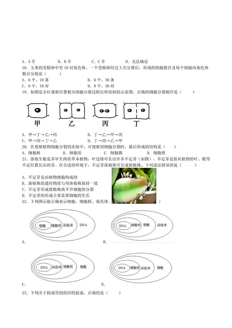 2024～2025学年广东省江门市七年级(上)期中生物试卷(含答案)第3页