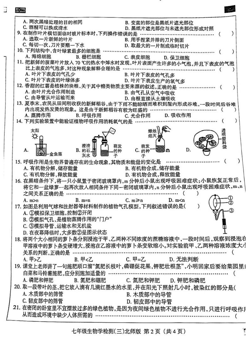 2024～2025学年河北省邯郸市成安县长巷乡初级中学七年级(上)12月月考生物试卷(含答案)第2页