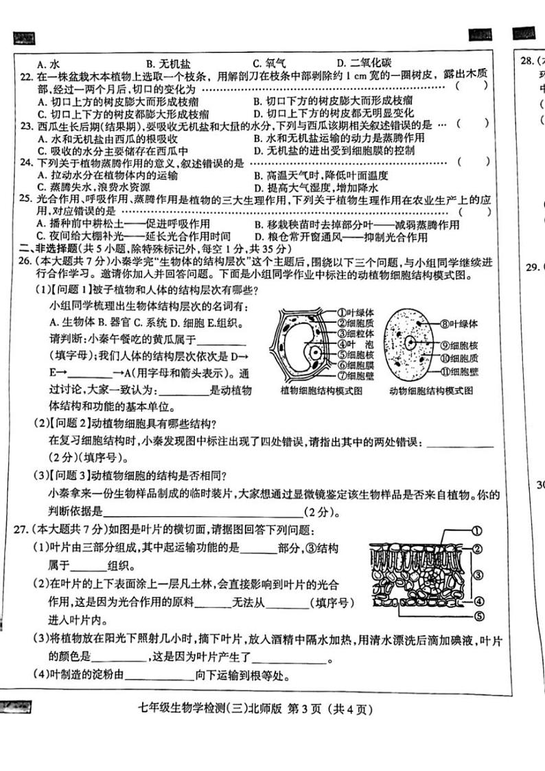 2024～2025学年河北省邯郸市成安县长巷乡初级中学七年级(上)12月月考生物试卷(含答案)第3页