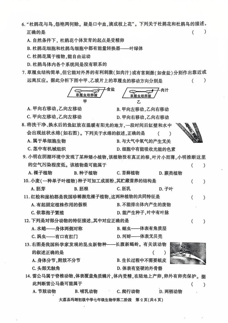 2024～2025学年陕西省大荔县冯翊初级中学七年级(上)期中生物试卷(无答案)第2页