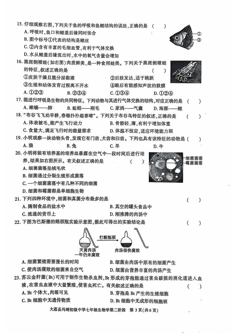 2024～2025学年陕西省大荔县冯翊初级中学七年级(上)期中生物试卷(无答案)第3页