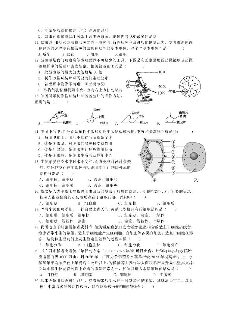 2024～2025学年江苏省徐州市沛县第五中学七年级(上)12月月考生物试卷(无答案)第2页