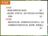 7.1.1 植物的生殖（ 课件）-2024-2025学年人教版生物八年级下册