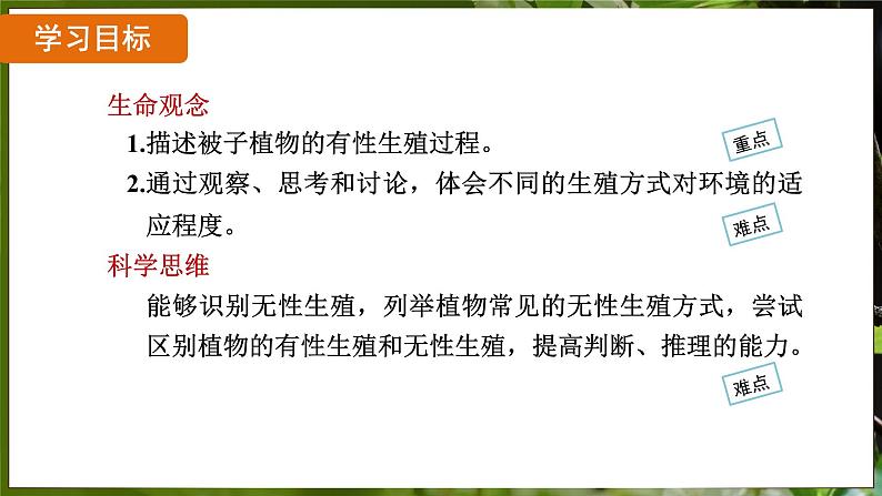 7.1.1 植物的生殖（ 课件）-2024-2025学年人教版生物八年级下册第2页