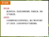 7.1.1 植物的生殖（ 课件）-2024-2025学年人教版生物八年级下册