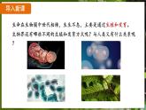 7.1.1 植物的生殖（ 课件）-2024-2025学年人教版生物八年级下册