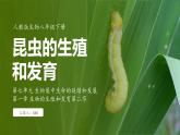 7.1.2 昆虫的生殖和发育（ 课件）-2024-2025学年人教版生物八年级下册