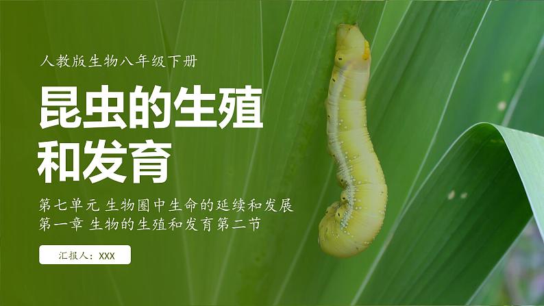 7.1.2 昆虫的生殖和发育（ 课件）-2024-2025学年人教版生物八年级下册第1页