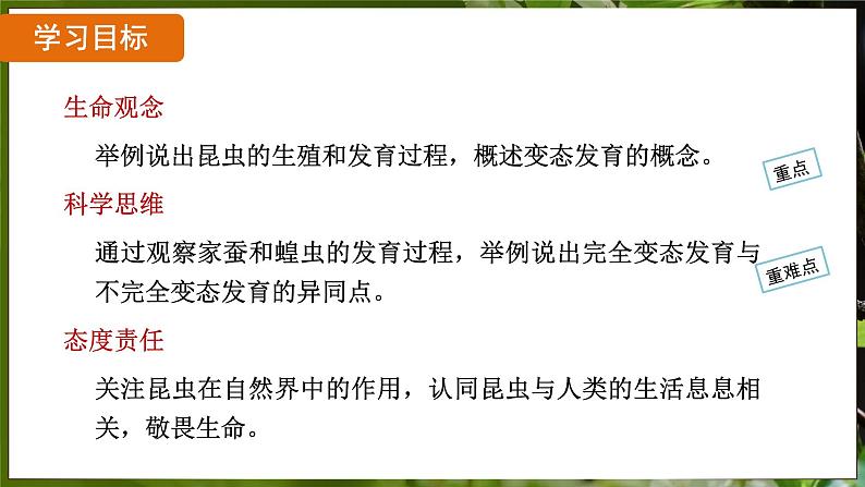 7.1.2 昆虫的生殖和发育（ 课件）-2024-2025学年人教版生物八年级下册第2页