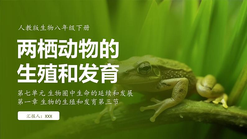 7.1.3 两栖动物的生殖和发育（ 课件）-2024-2025学年人教版生物八年级下册第1页