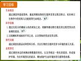 7.1.3 两栖动物的生殖和发育（ 课件）-2024-2025学年人教版生物八年级下册