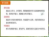 7.1.4 鸟的生殖和发育（ 课件）-2024-2025学年人教版生物八年级下册