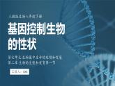7.2.1 基因控制生物的性状（ 课件）-2024-2025学年人教版生物八年级下册