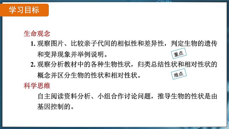 7.2.1 基因控制生物的性状（ 课件）-2024-2025学年人教版生物八年级下册第2页