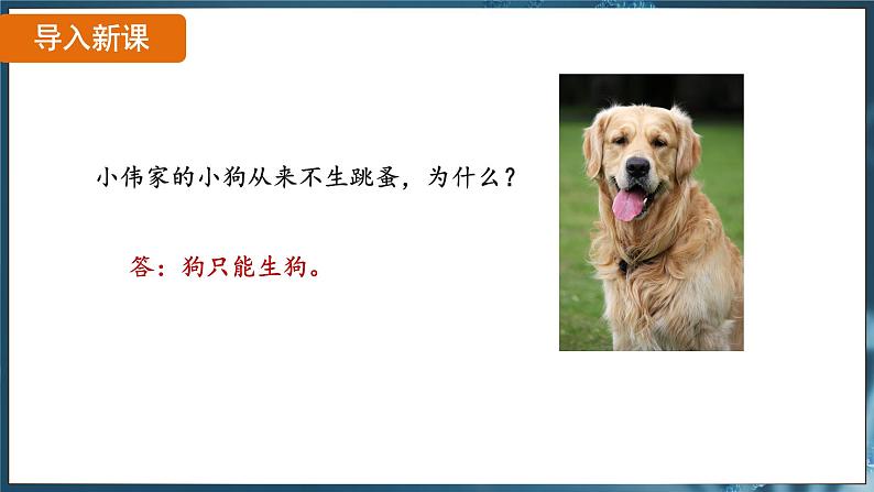 7.2.1 基因控制生物的性状（ 课件）-2024-2025学年人教版生物八年级下册第5页