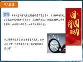 7.2.2 基因在親子代間的傳遞（ 課件）-2024-2025學(xué)年人教版生物八年級下冊