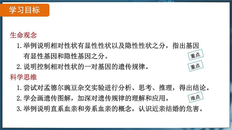 7.2.3 基因的显性和隐性（ 课件）-2024-2025学年人教版生物八年级下册第2页