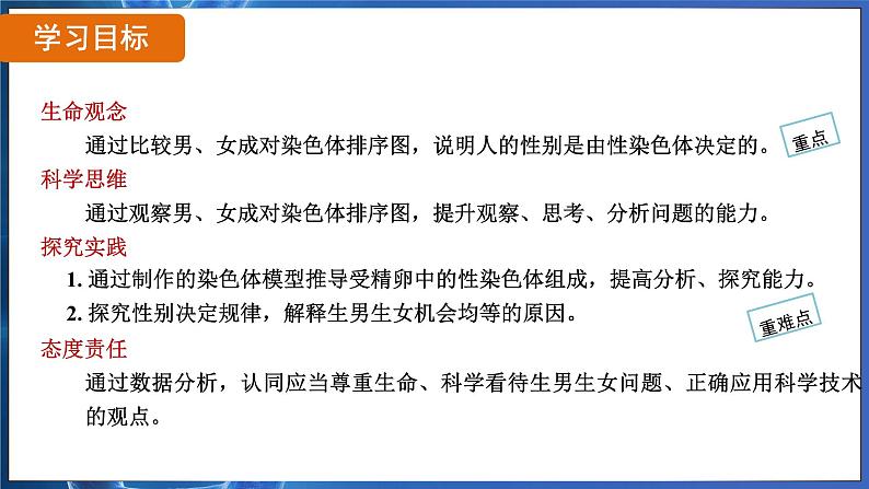 7.2.4 人的性别遗传（ 课件）-2024-2025学年人教版生物八年级下册第2页