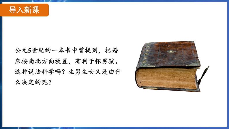 7.2.4 人的性别遗传（ 课件）-2024-2025学年人教版生物八年级下册第4页