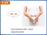 7.2.4 人的性別遺傳（ 課件）-2024-2025學(xué)年人教版生物八年級下冊