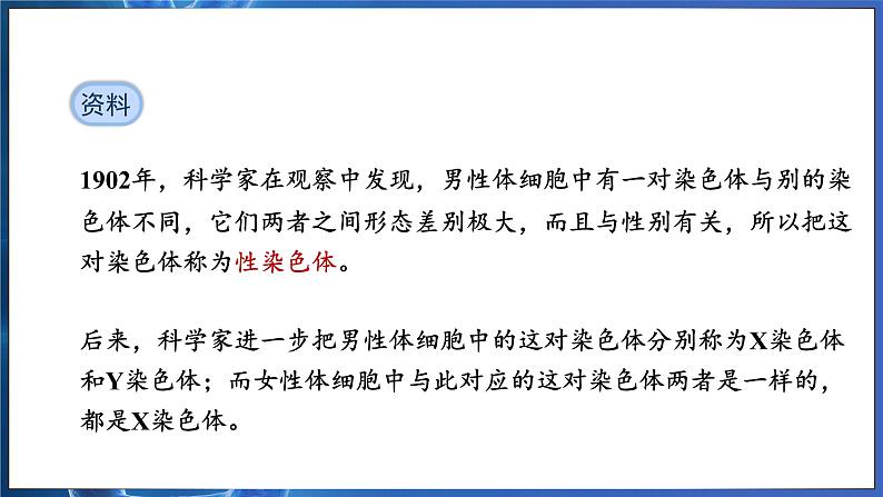 7.2.4 人的性别遗传（ 课件）-2024-2025学年人教版生物八年级下册第8页