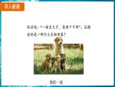 7.2.5 生物的变异（ 课件）-2024-2025学年人教版生物八年级下册