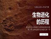 7.3.2 生物进化的历程（ 课件）-2024-2025学年人教版生物八年级下册