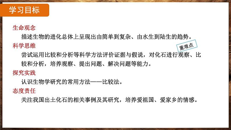 7.3.2 生物进化的历程（ 课件）-2024-2025学年人教版生物八年级下册第2页