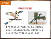 7.3.2 生物进化的历程（ 课件）-2024-2025学年人教版生物八年级下册