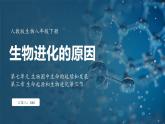 7.3.3 生物进化的原因（ 课件）-2024-2025学年人教版生物八年级下册