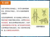 7.3.3 生物进化的原因（ 课件）-2024-2025学年人教版生物八年级下册