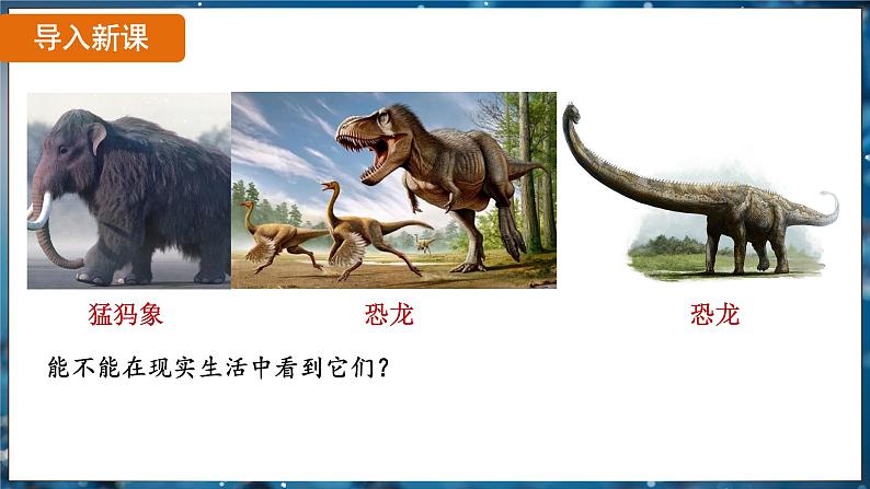 7.3.3 生物进化的原因（ 课件）-2024-2025学年人教版生物八年级下册第5页