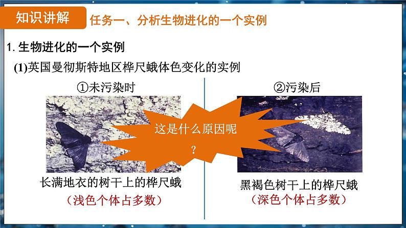 7.3.3 生物进化的原因（ 课件）-2024-2025学年人教版生物八年级下册第6页