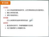 8.1.2 免疫与计划免疫（ 课件）-2024-2025学年人教版生物八年级下册