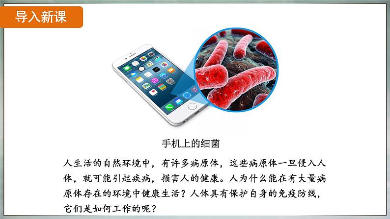 8.1.2 免疫与计划免疫（ 课件）-2024-2025学年人教版生物八年级下册第3页