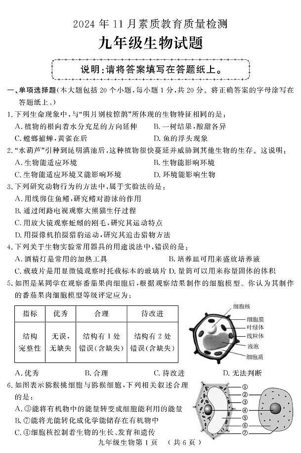 （教研室提供）山东省菏泽市曹县2024-2025学年九年级上学期期中考试生物试题第1页