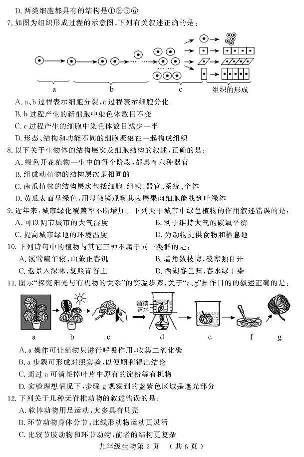 （教研室提供）山东省菏泽市曹县2024-2025学年九年级上学期期中考试生物试题第2页
