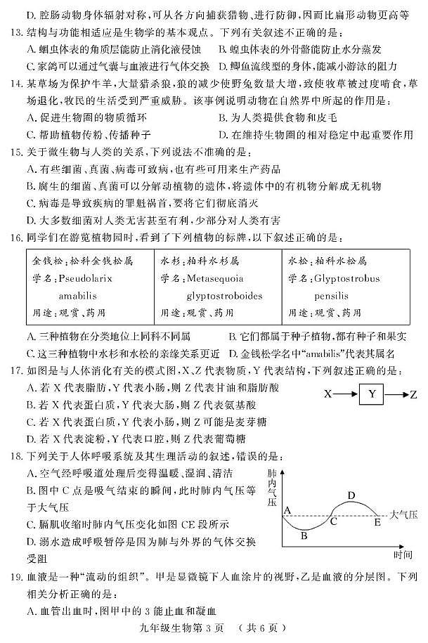 （教研室提供）山东省菏泽市曹县2024-2025学年九年级上学期期中考试生物试题第3页